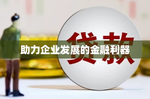 龙文助力企业发展的金融利器