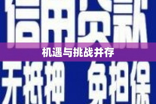 龙文机遇与挑战并存