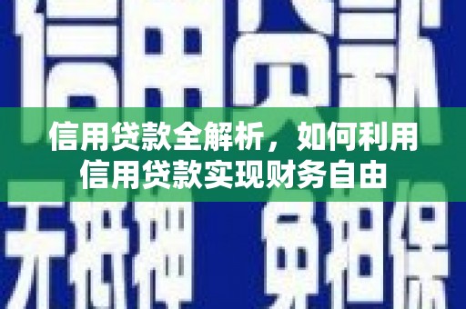 龙文信用贷款全解析，如何利用信用贷款实现财务自由