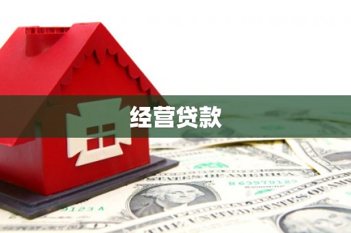 龙文经营贷款
