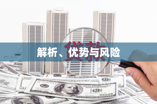 龙文解析、优势与风险