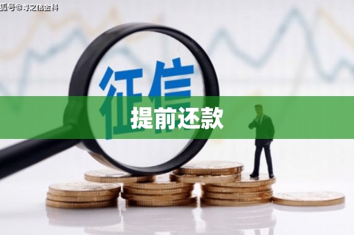 龙文提前还款