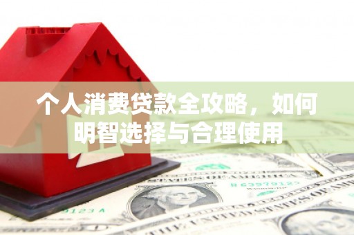 龙文个人消费贷款全攻略，如何明智选择与合理使用