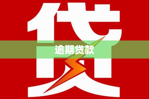 龙文逾期贷款