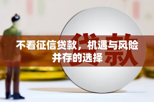 龙文不看征信贷款，机遇与风险并存的选择