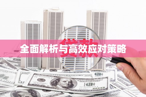 龙文全面解析与高效应对策略