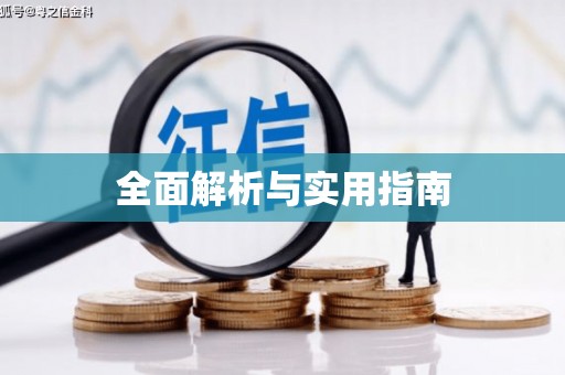 龙文全面解析与实用指南