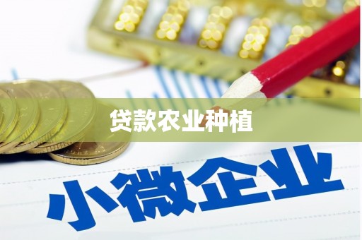 龙文贷款农业种植