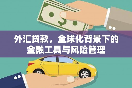 龙文外汇贷款，全球化背景下的金融工具与风险管理