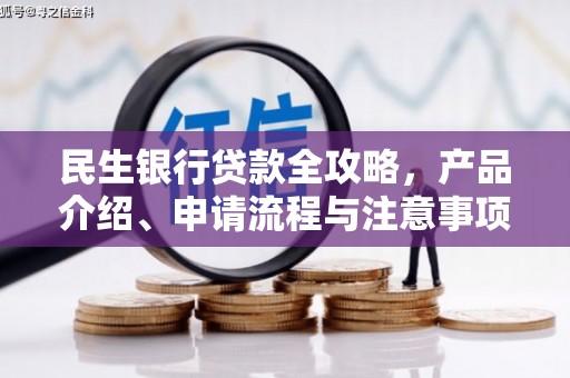 龙文民生银行贷款全攻略，产品介绍、申请流程与注意事项